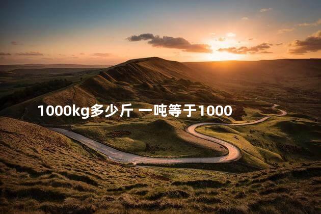 1000kg多少斤 一吨等于1000千克对吗